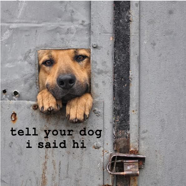 Köpeğinize Merhaba Dediğimi Söyleyin Arabalar için Etiket Komik Araba vinil tampon çıkartması Pencere Çıkartması (25cm, Beyaz)
