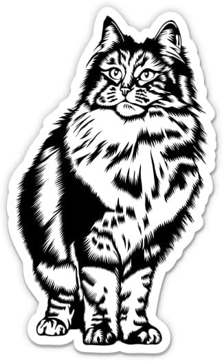 Maine Coon Kedi Sticker-5 laptop etiketi - Su Geçirmez Vinil Araba, Telefon, Su Şişesi-Kitty Kedi Cins Çıkartması