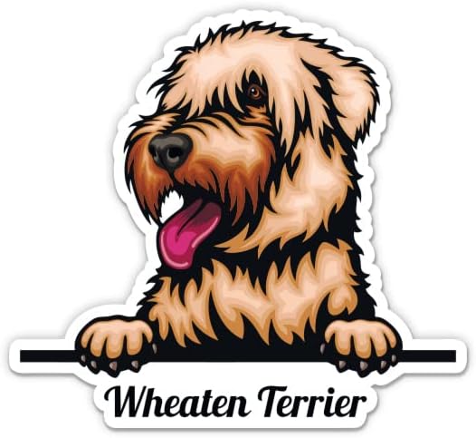 Wheaten Terrier Sticker-3 laptop etiketi - Su Geçirmez Vinil Araba, Telefon, Su Şişesi-Wheaten Terrier Köpek Çıkartması
