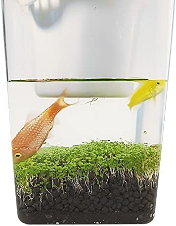 GHGHF Mini Balık Tankı Balık Sebze Simbiyotik Su Çim Ultraing-Beyaz Masaüstü Ekolojik Plastik Uygun Balık Tankı Bitkiler