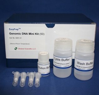 Maya Genomik DNA Miniprep Kiti (250 Hazırlık)