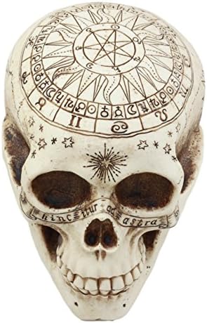 Ebros Hediye Güneş Astroloji Göksel Kafatası Heykeli Antik Kehanet Haritacılık Relic Harita Kafatası Kafatası Dekoratif Heykelcik