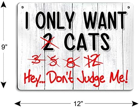 Büyük Zaman İşaretleri Kedi İşareti - Sadece Kediler istiyorum-Kedi Dekoru Pencere, Ofis, Yatak odası dekoru için Komik Şaka